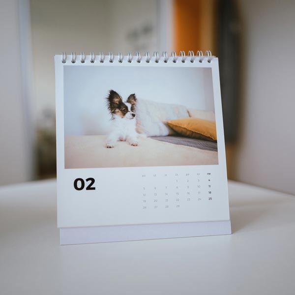 Stolní měsíční fotokalendář 2026