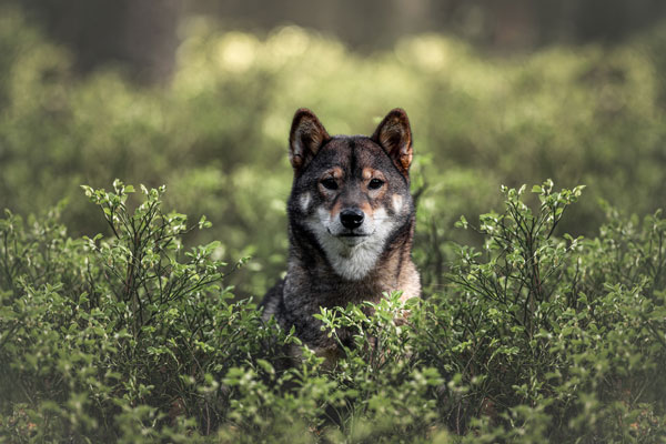 foto Lucie Nermuťová