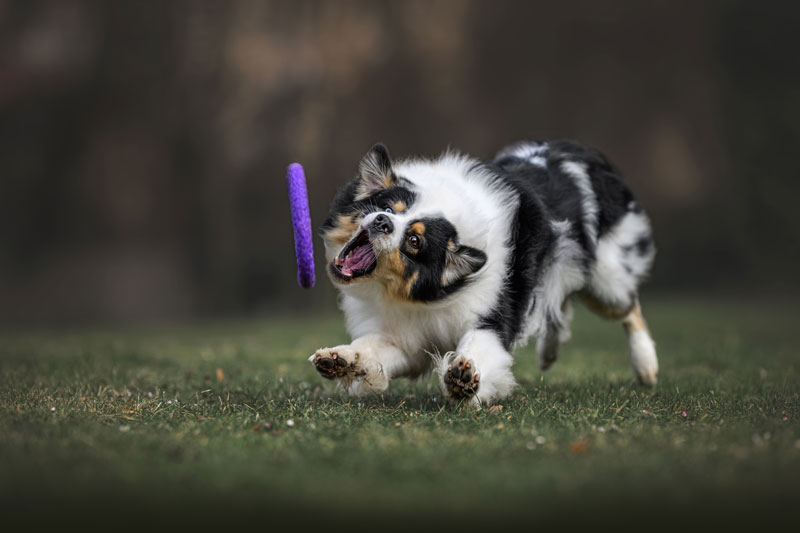 foto Lucie Nermuťová