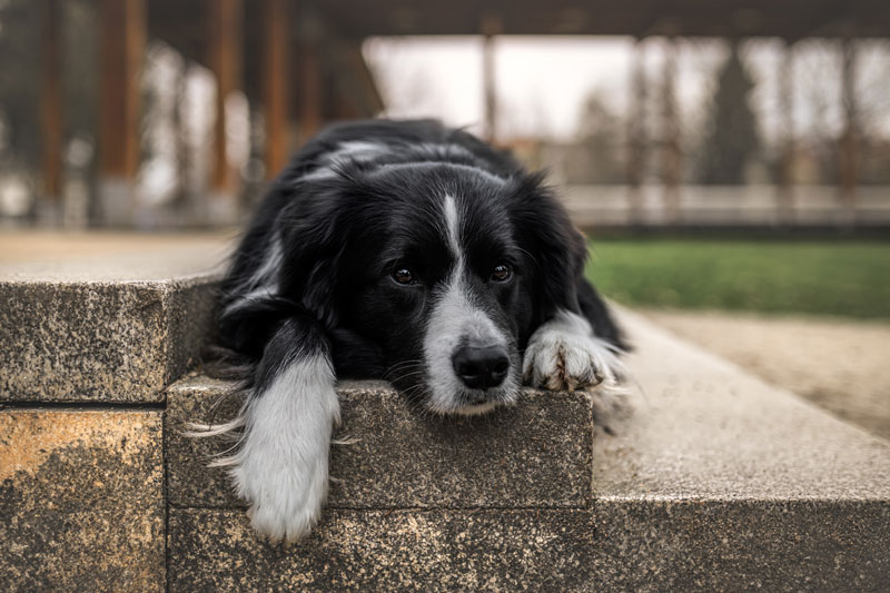 foto Lucie Nermuťová